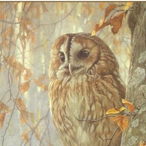 Meet your Posher, Argelia