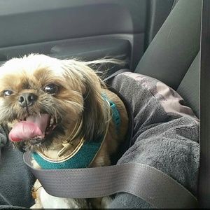 Meet your Posher, Abigail