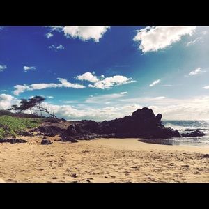 Meet your Posher, Meredith