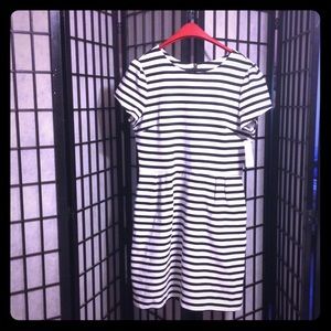 Size Large MAISON JULES Dress from MACYS