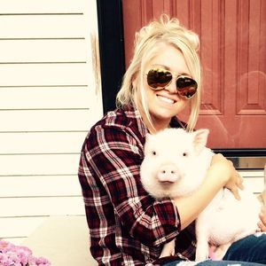 Meet your Posher, Dauray