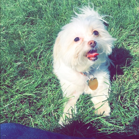 Meet your Posher, Gicell - Picture 1 of 1