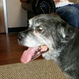 Meet your Posher, Diane