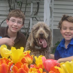 Meet your Posher, Julie