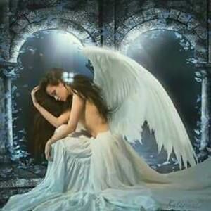 Meet your Posher, Glenda