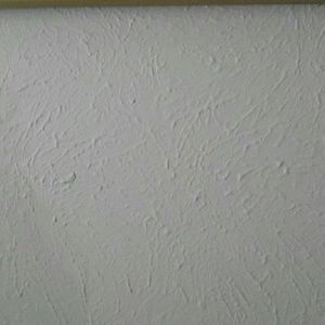 Meet your Posher, Eva