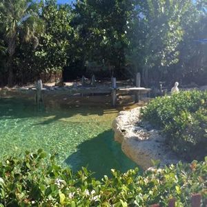 Meet your Posher, Melza