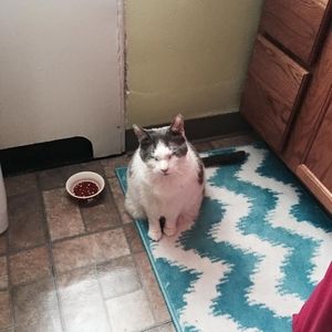 Meet your Posher, Eden