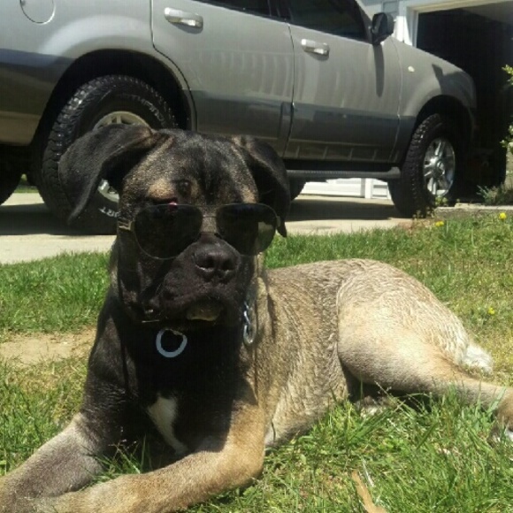 Meet your Posher, Brittany - Picture 3 of 3