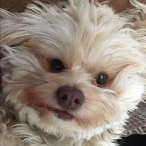 Meet your Posher, Paula