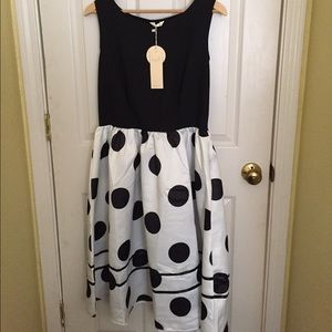 Brand new Dress V polka dotted Dress.