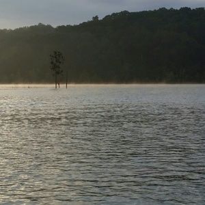 Meet your Posher, Jen