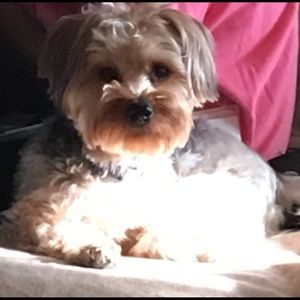 Meet your Posher, Yvonne