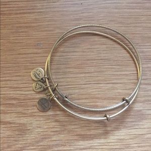 alex and ani bangle set of 3, one not pictured