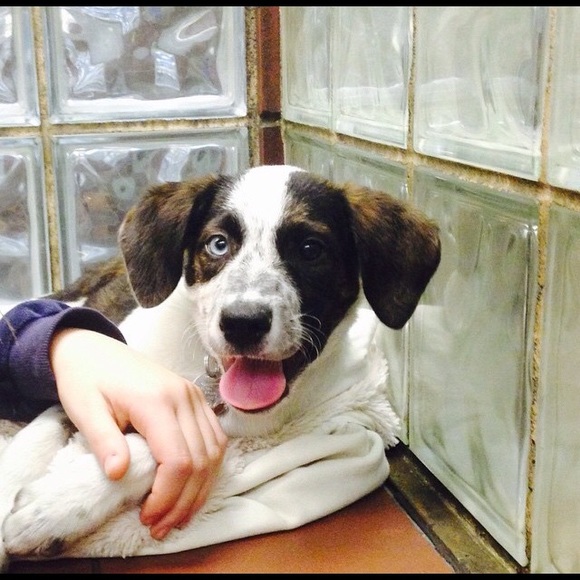 Meet your Posher, Carolann - Picture 1 of 1