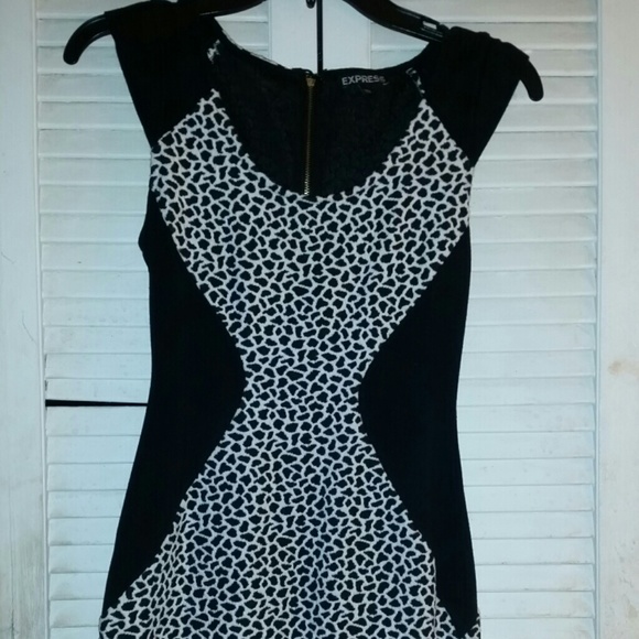 EXPRESS Animal print colorblock dress