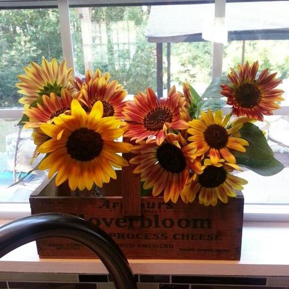 Meet your Posher, Bernice - Picture 1 of 1