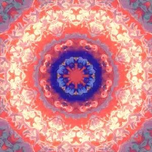 Meet your Posher, Bella