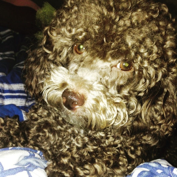 Meet your Posher, Keisa - Picture 1 of 1