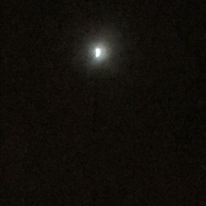 Meet your Posher, Autumn