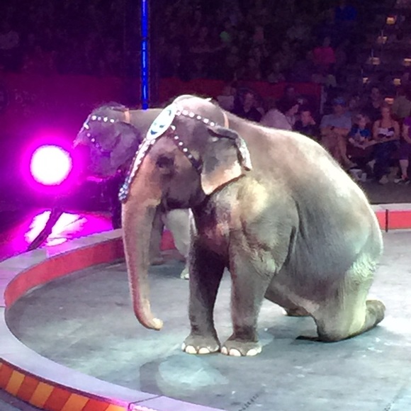 Meet your Posher, Reba