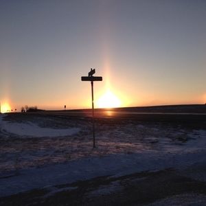 Meet your Posher, Connie