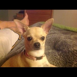 Meet your Posher, Michelle