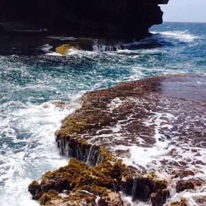 Meet your Posher, Johnnie