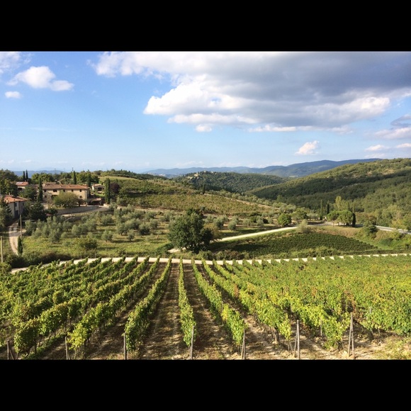 Meet your Posher, Amanda - Picture 1 of 1