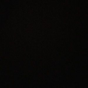 Meet your Posher, Joni