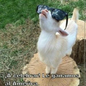 Meet your Posher, Jose