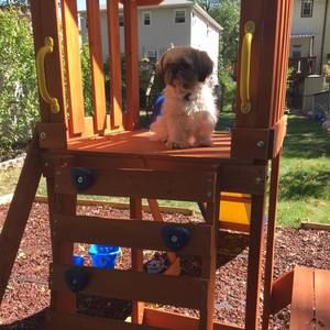 Meet your Posher, Piedad