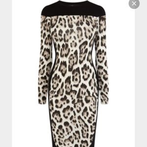 Women dress. Karen Millen