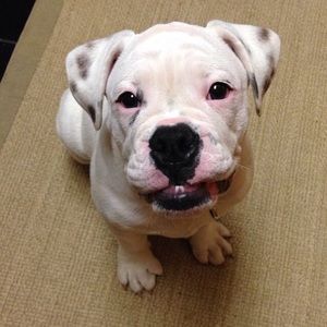 Meet your Posher, Kasey