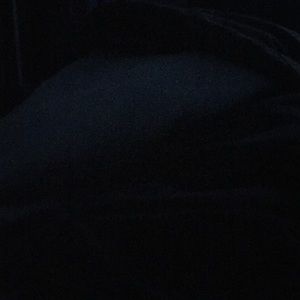 Meet your Posher, Missy