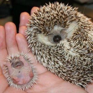 Meet your Posher, Jenna