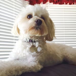 Meet your Posher, Kristen