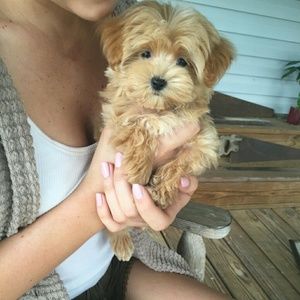 Meet your Posher, Jayci