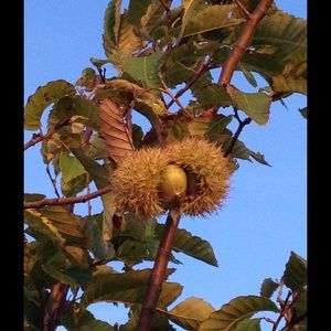 Meet your Posher, Jean