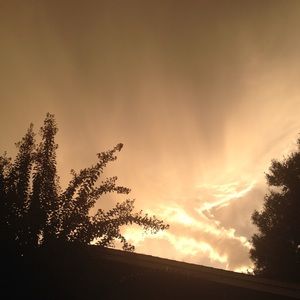 Meet your Posher, Xavier