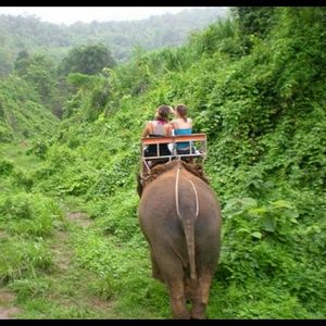 Meet your Posher, Jenna