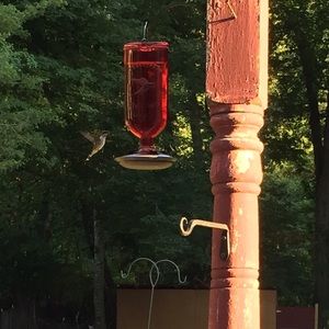 Meet your Posher, Mallory