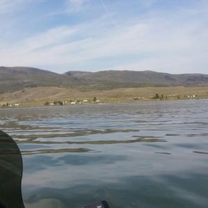 Meet your Posher, Lilia