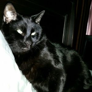 Meet your Posher, Cassie