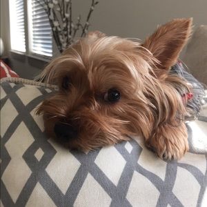 Meet your Posher, Roberto