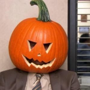 Meet your Posher, Bailey