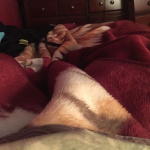 Meet your Posher, Alberto