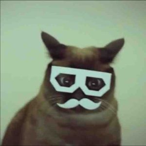 Meet your Posher, Alfredo