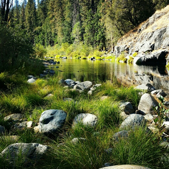 Meet your Posher, Deborah - Picture 1 of 1