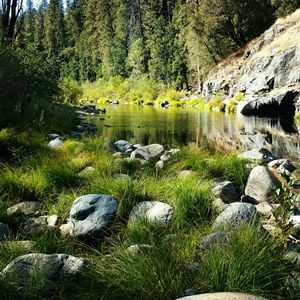 Meet your Posher, Deborah